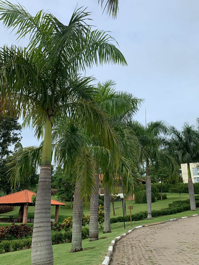 refresh-retiro-ipb-porto0feliz (1)